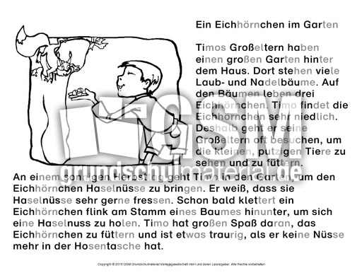 Abschreibtext-Eichhörnchen-4-ND-SW.pdf